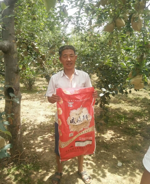 威極鮮一號(hào)種植戶反饋