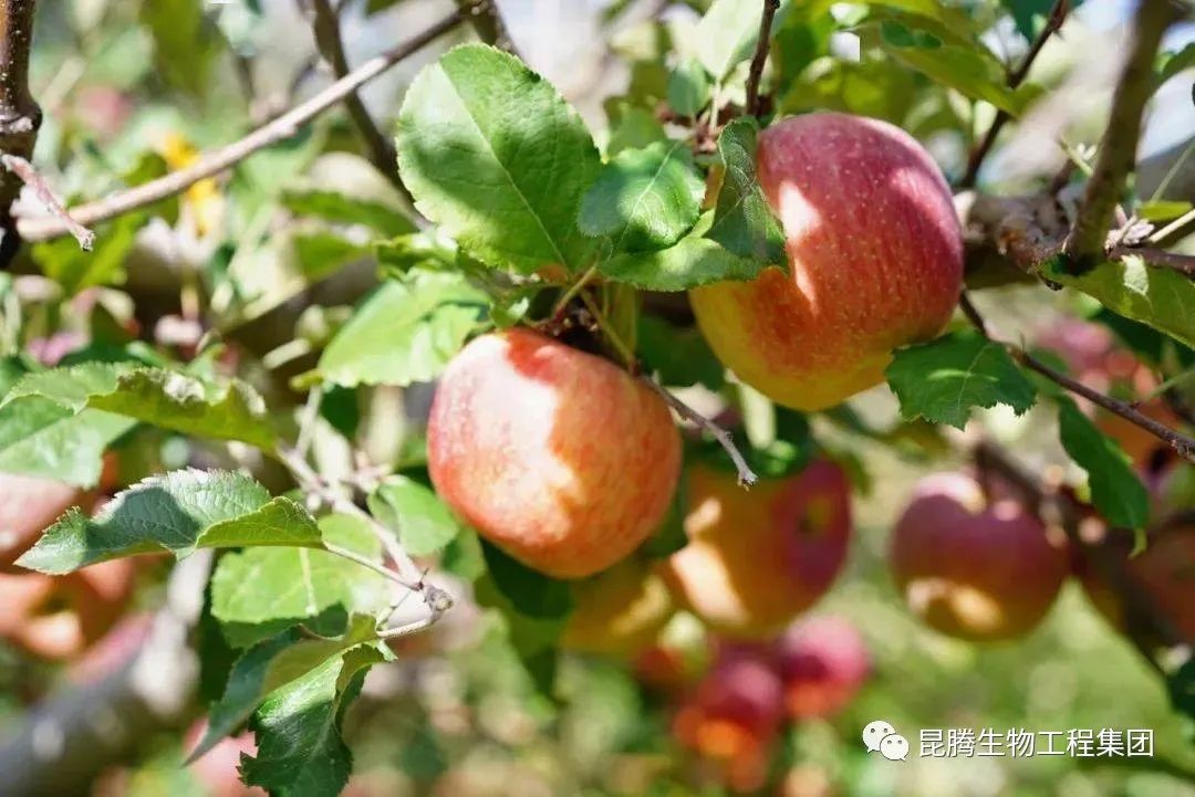 1664419476551714.jpg 微信圖片_20220610150900.jpg