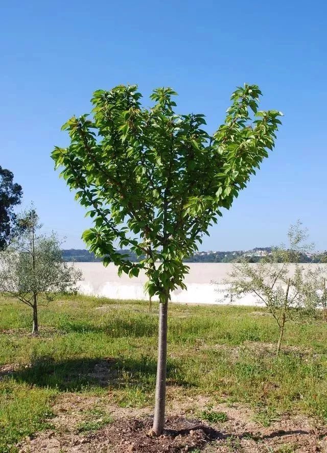 1675739666698064.jpg 微信圖片_20230207111408.jpg